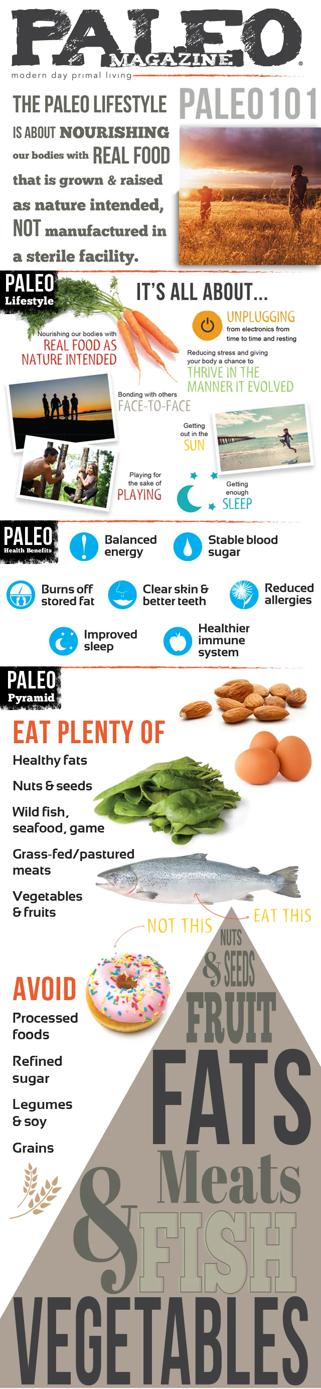 Paleo-101-Infographic.jpg