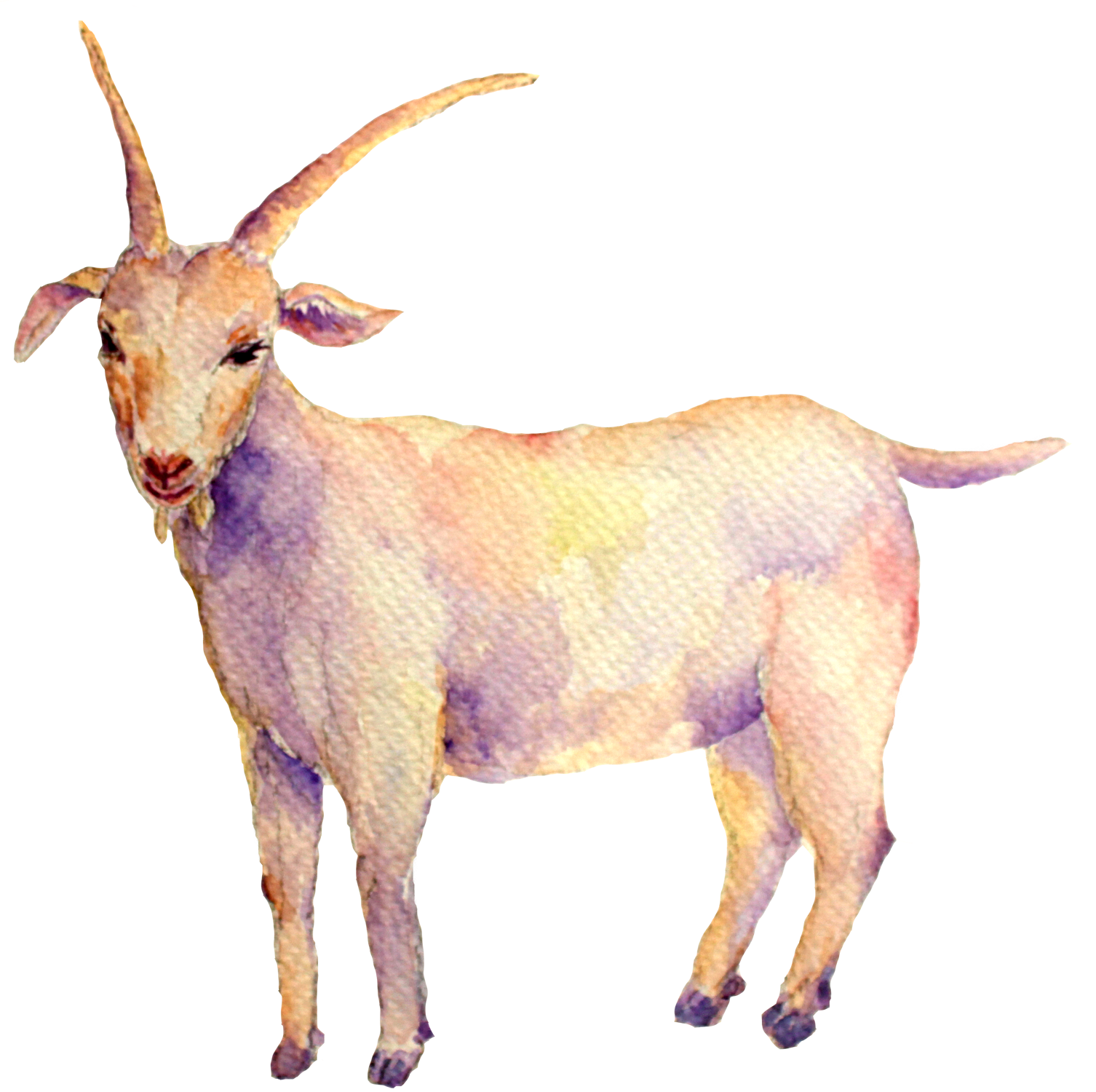 capricorn-moon.png