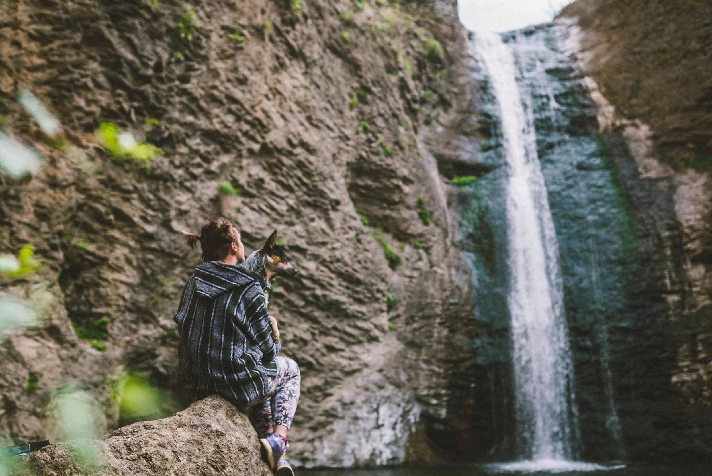 3 Natural Tools For Boosting Neuroplasticity