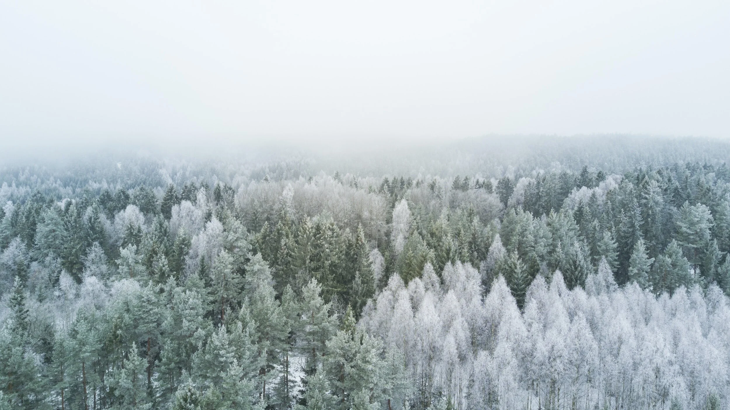 Winter's Wisdom- Giving Yourself The Grace & Space To Do Less