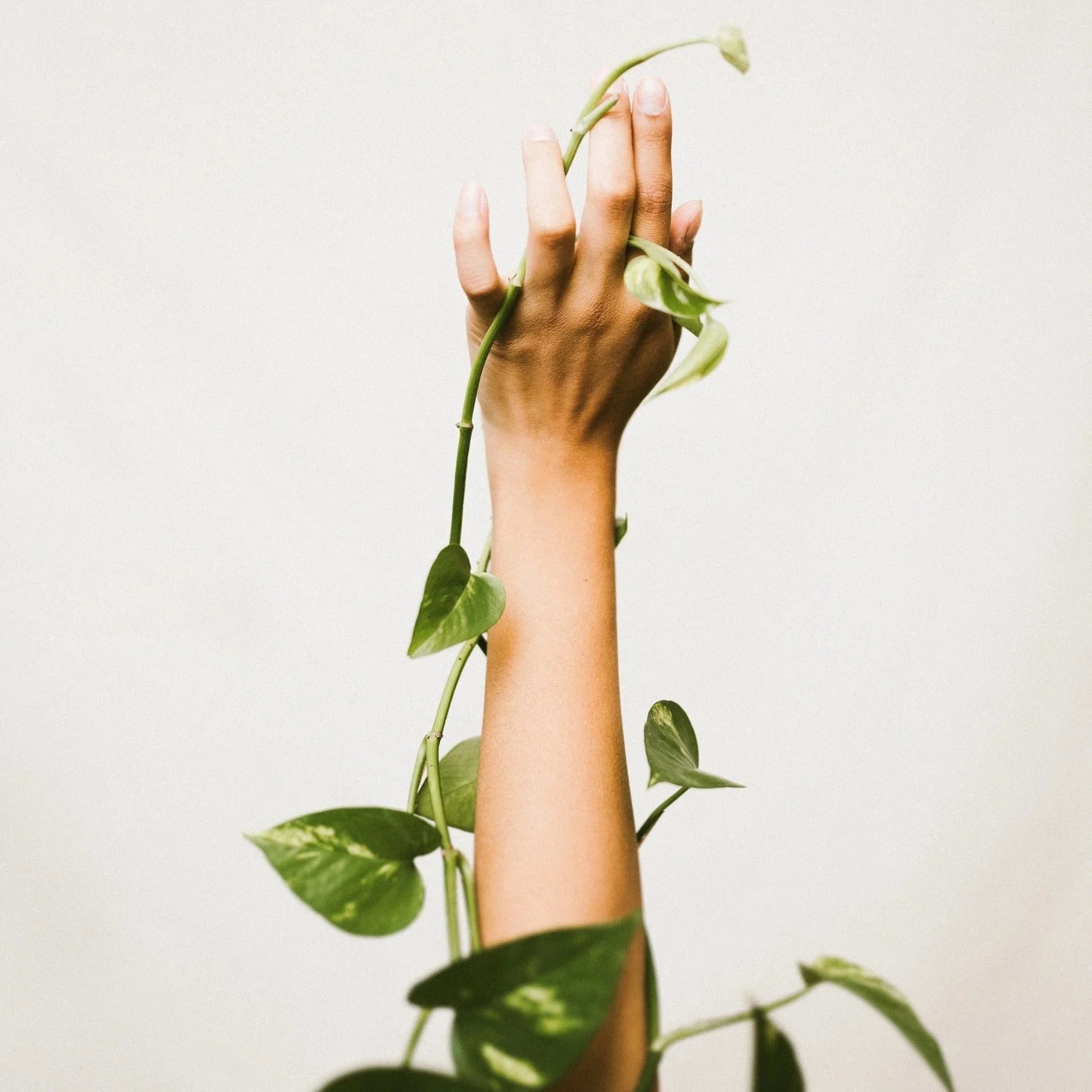 adrien-king-XzBluXxBoyQ-unsplash.jpg