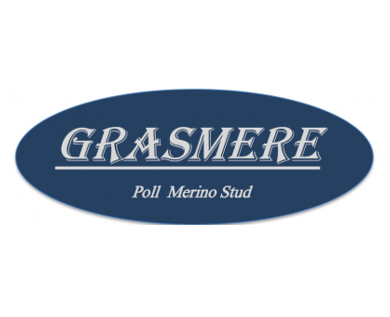 GRASMERE POLL MERINO STUD SALE