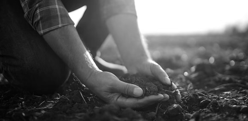 ANÁLISIS LEGISLATIVO: LEY DE USO DE SUELO