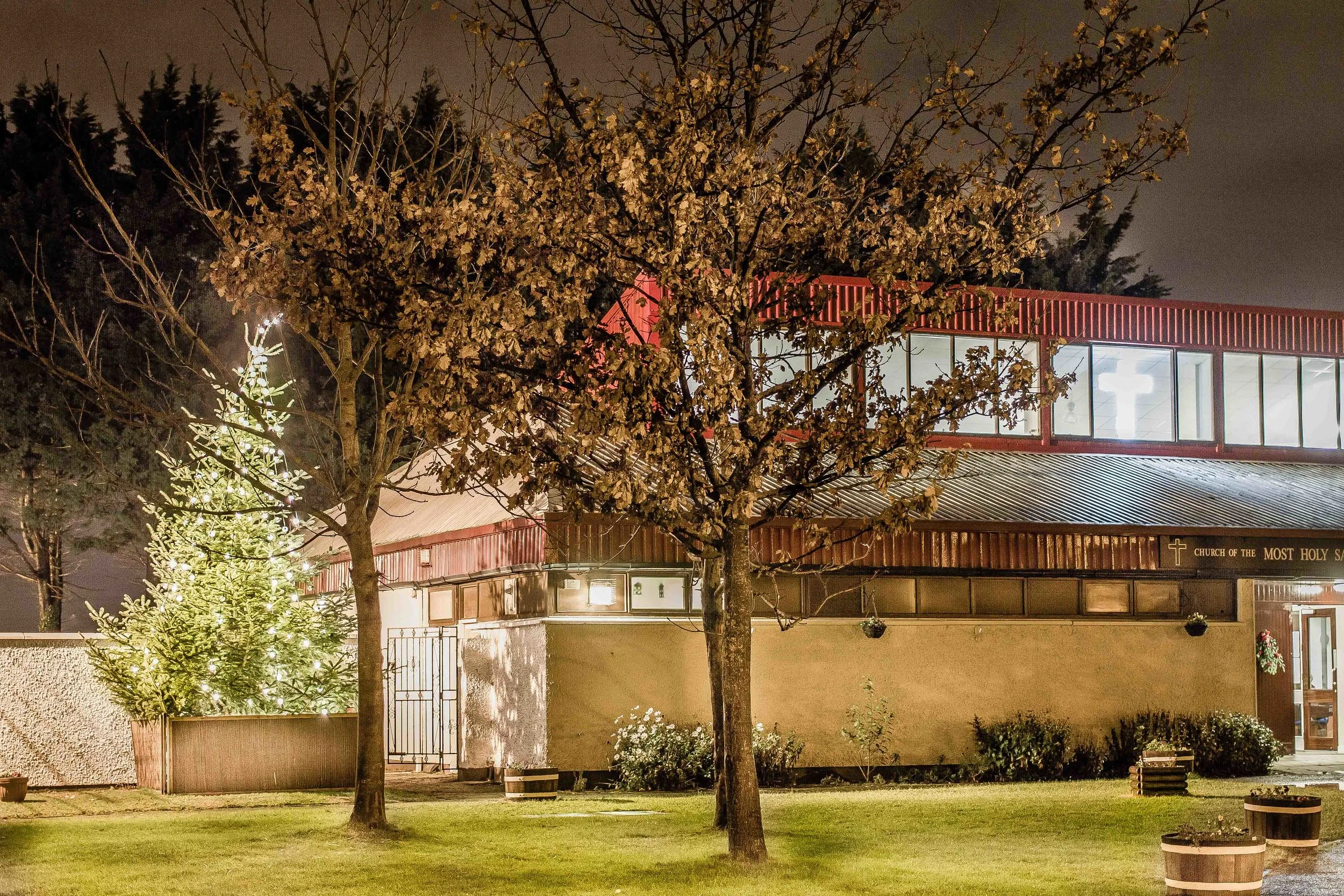 Cherry Orchard