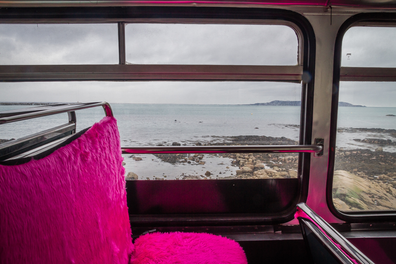 sandycove (93 of 104).jpg