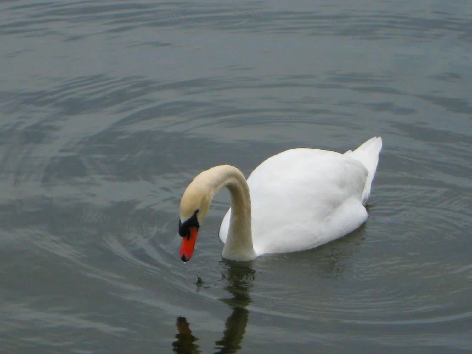 IMG_8055.JPG