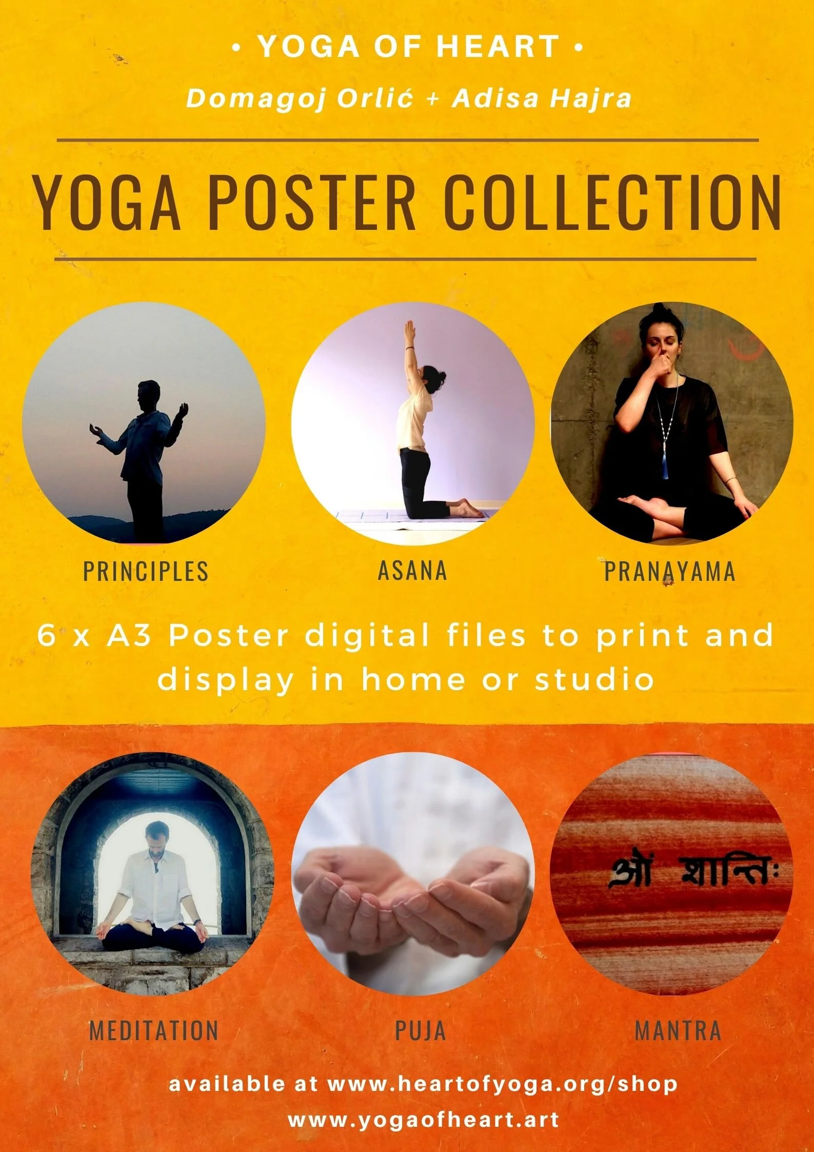 YOGA POSTER COLLECTION.jpg