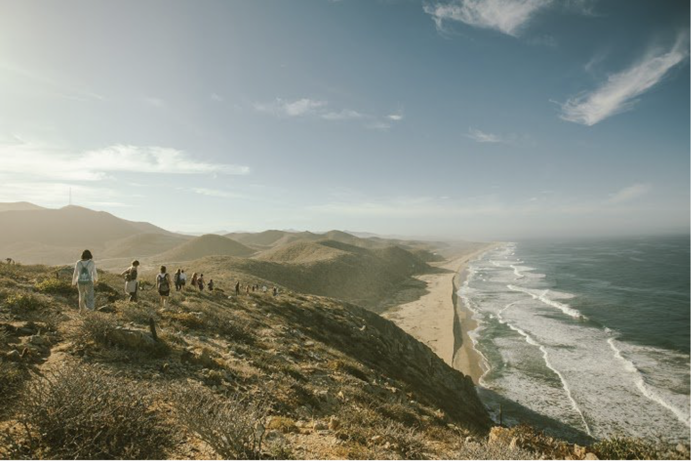 Screenshot 2024-12-19 at 12.24.39 PM.png