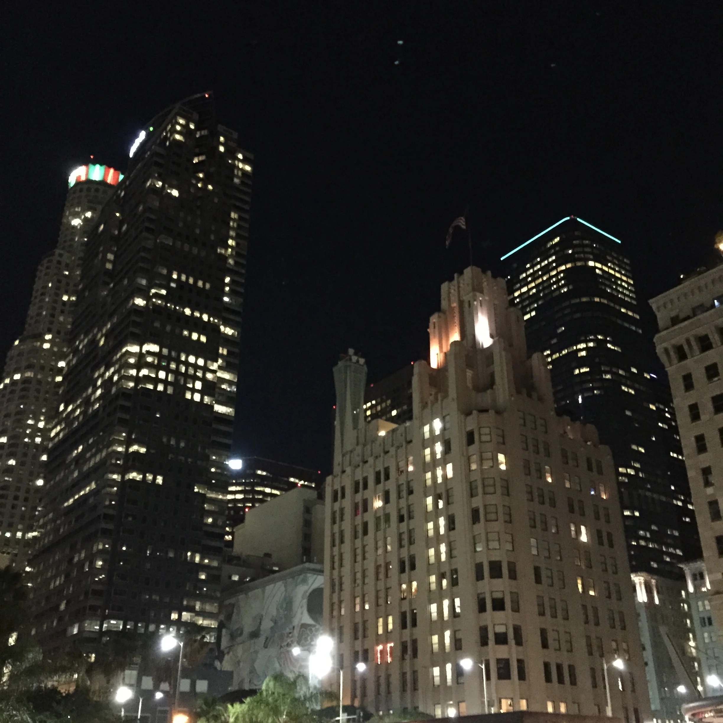 IMG_5559.jpg