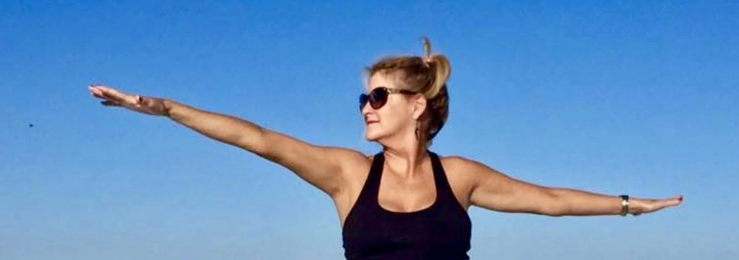 Circular Cutaways Tumblr Banner.jpeg