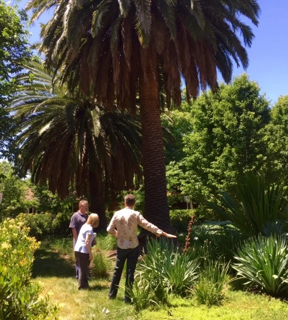 Pete at work in Hawthorn Garden