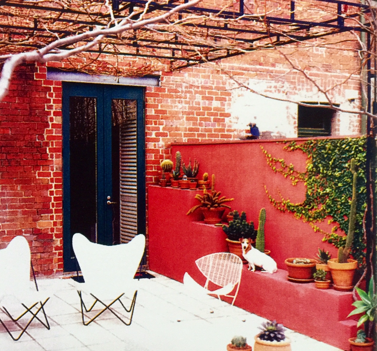 Melbourne Succulent Courtyard as featured in Inside Out magazine