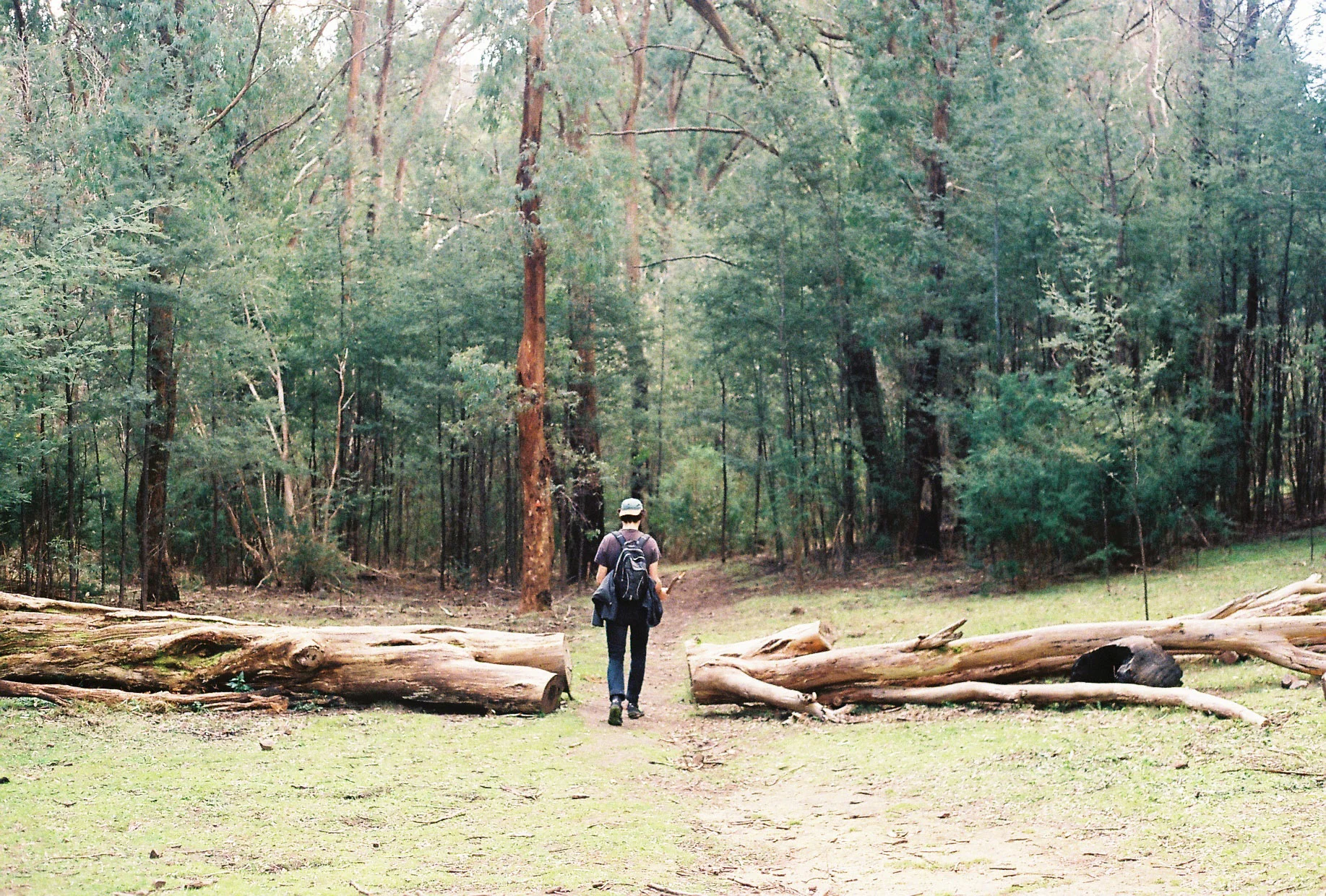 Cover.jpg