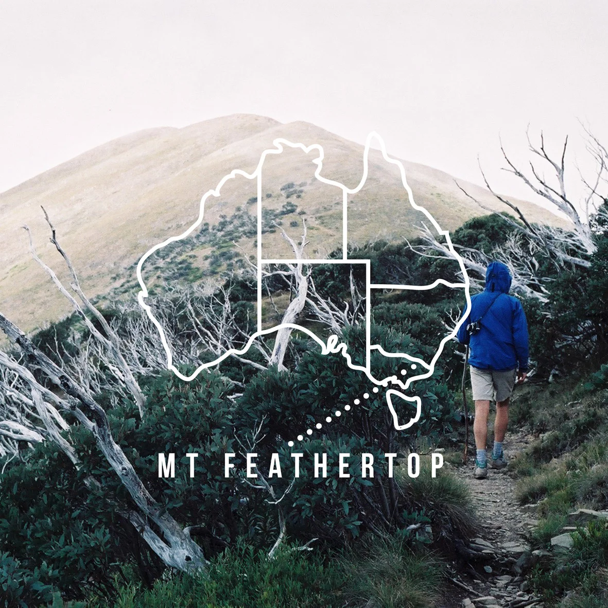 LFRF_FEATHERTOP INSTA PROMO.jpg