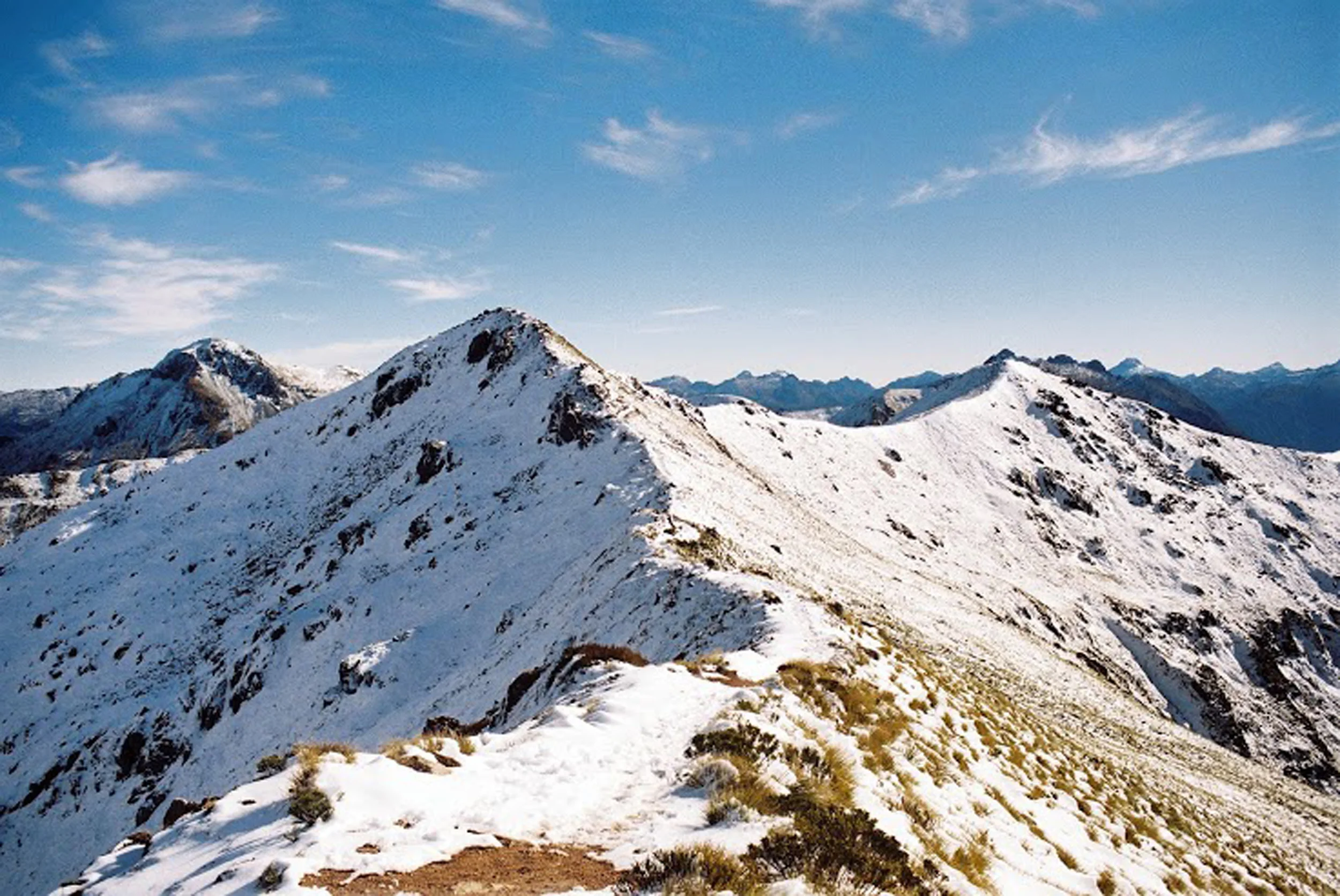 NZ_KP_6.jpg