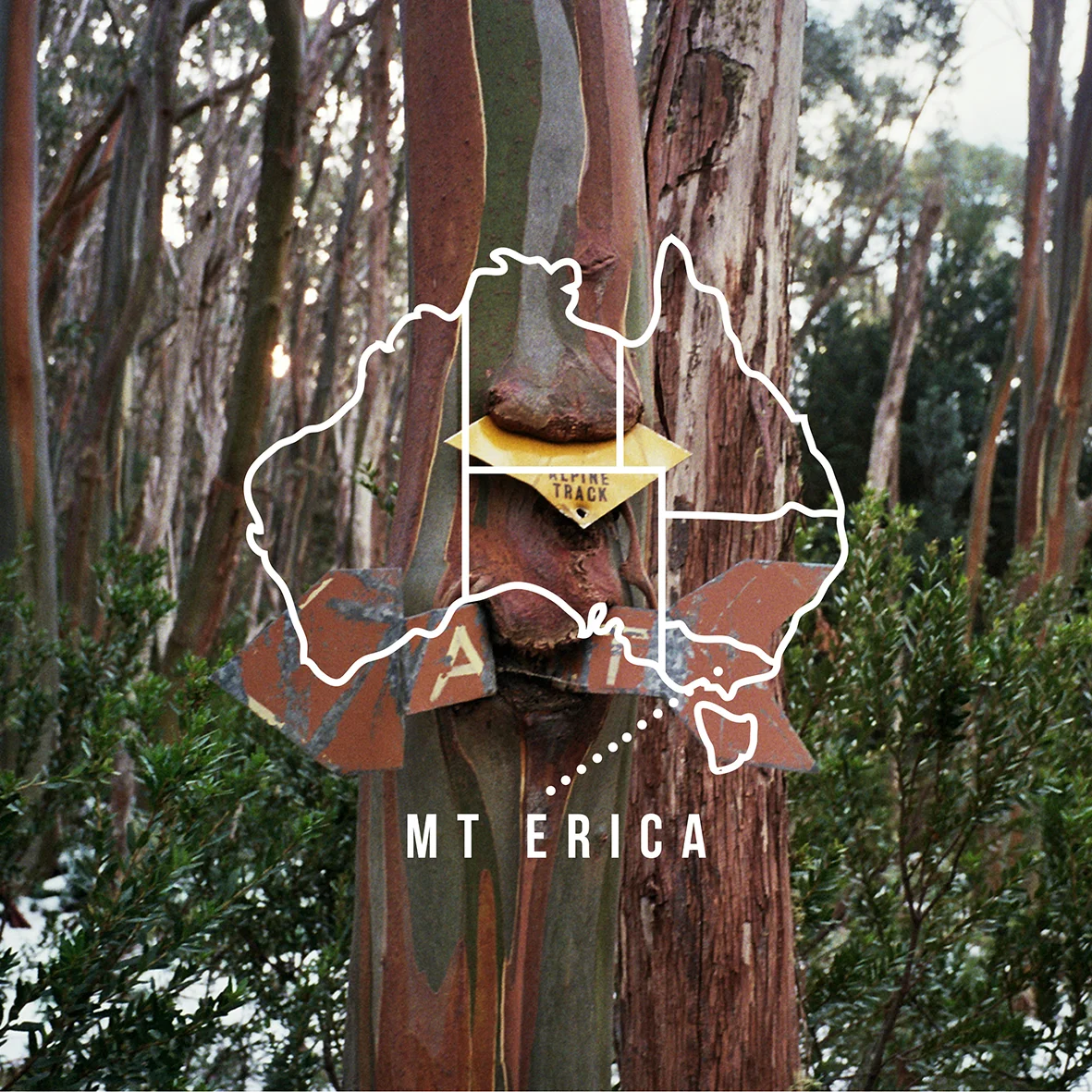 MT ERICA INSTA PROMO.jpg