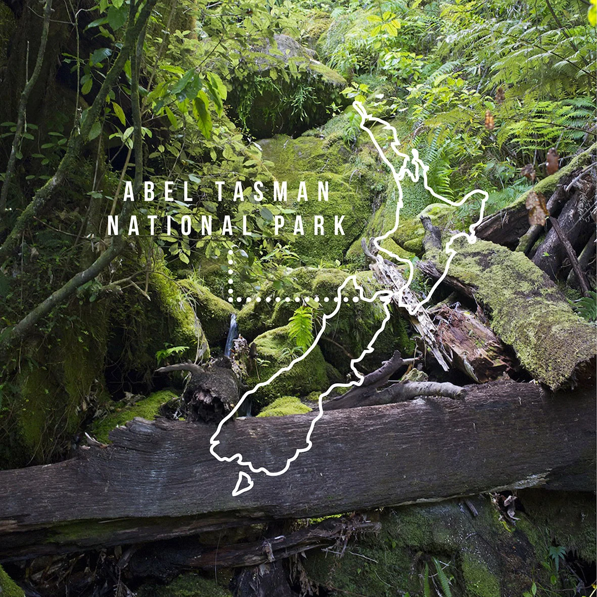 ABELTASMAN_INSTA POST.jpg