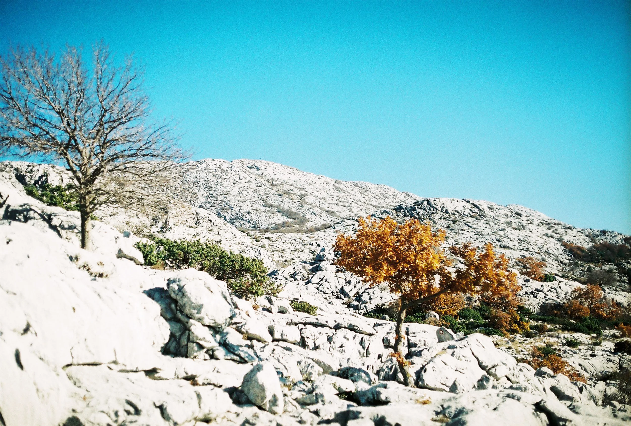MT MOSOR_5.jpg