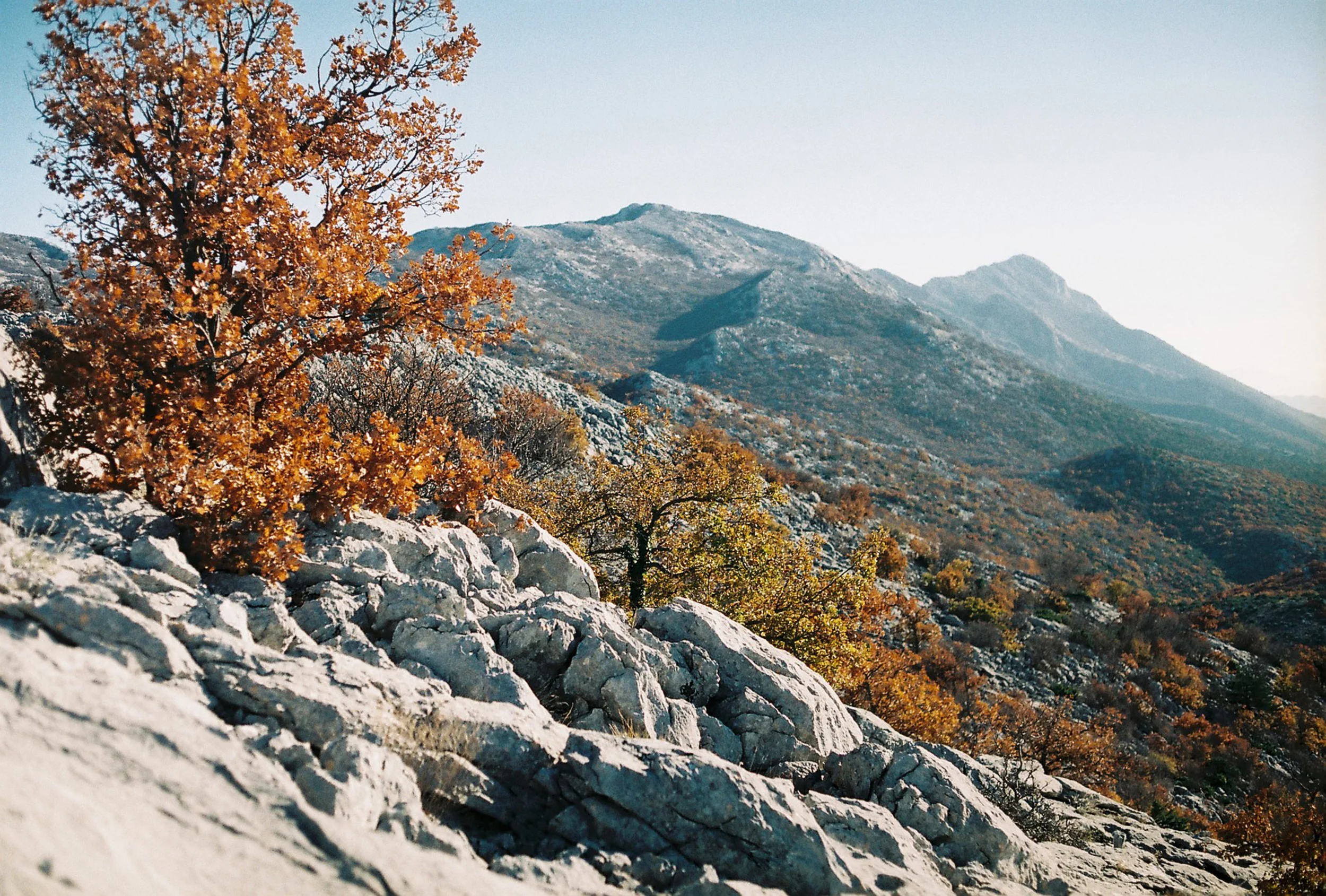 MT MOSOR_6.jpg