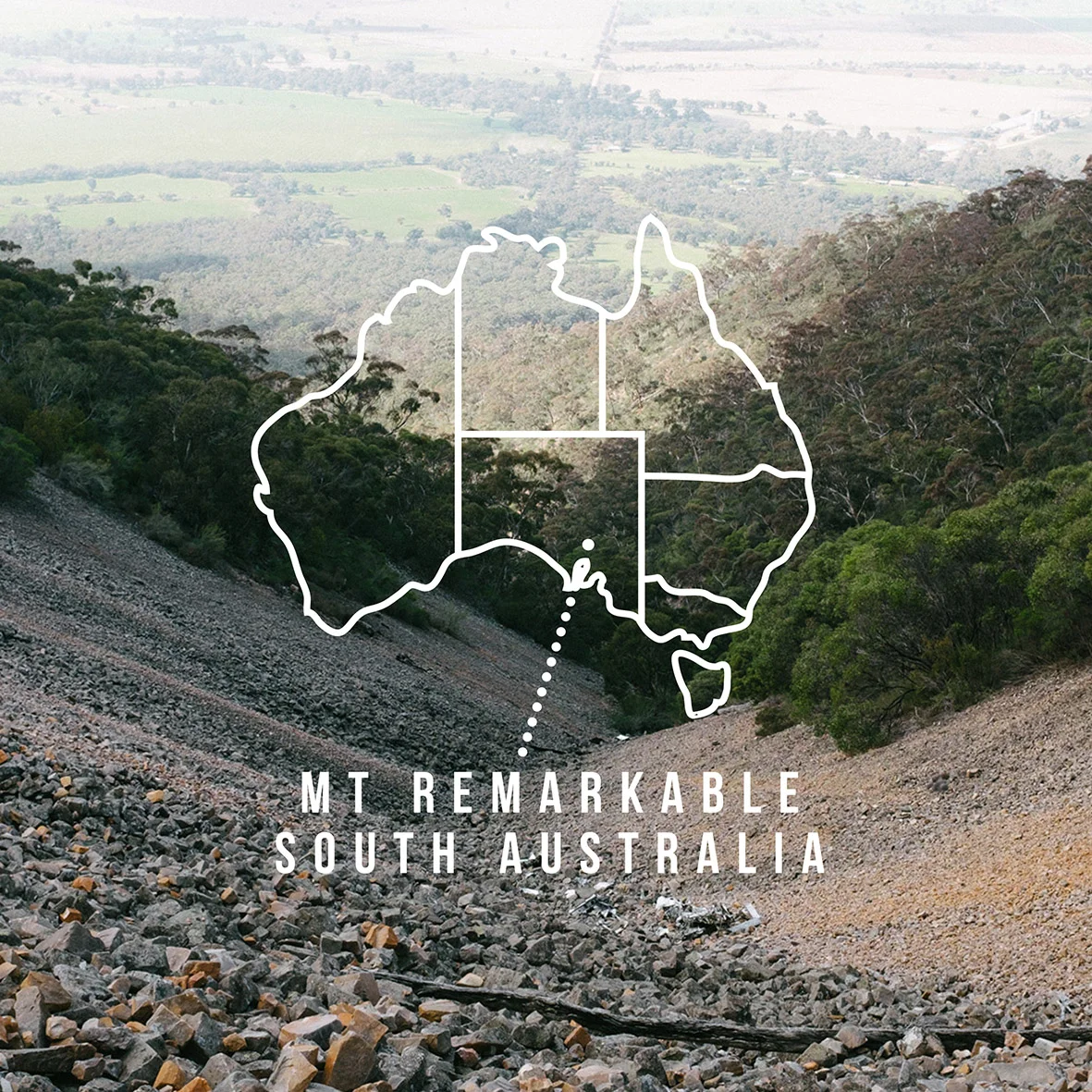 MT REMARKABLE INSTA.jpg