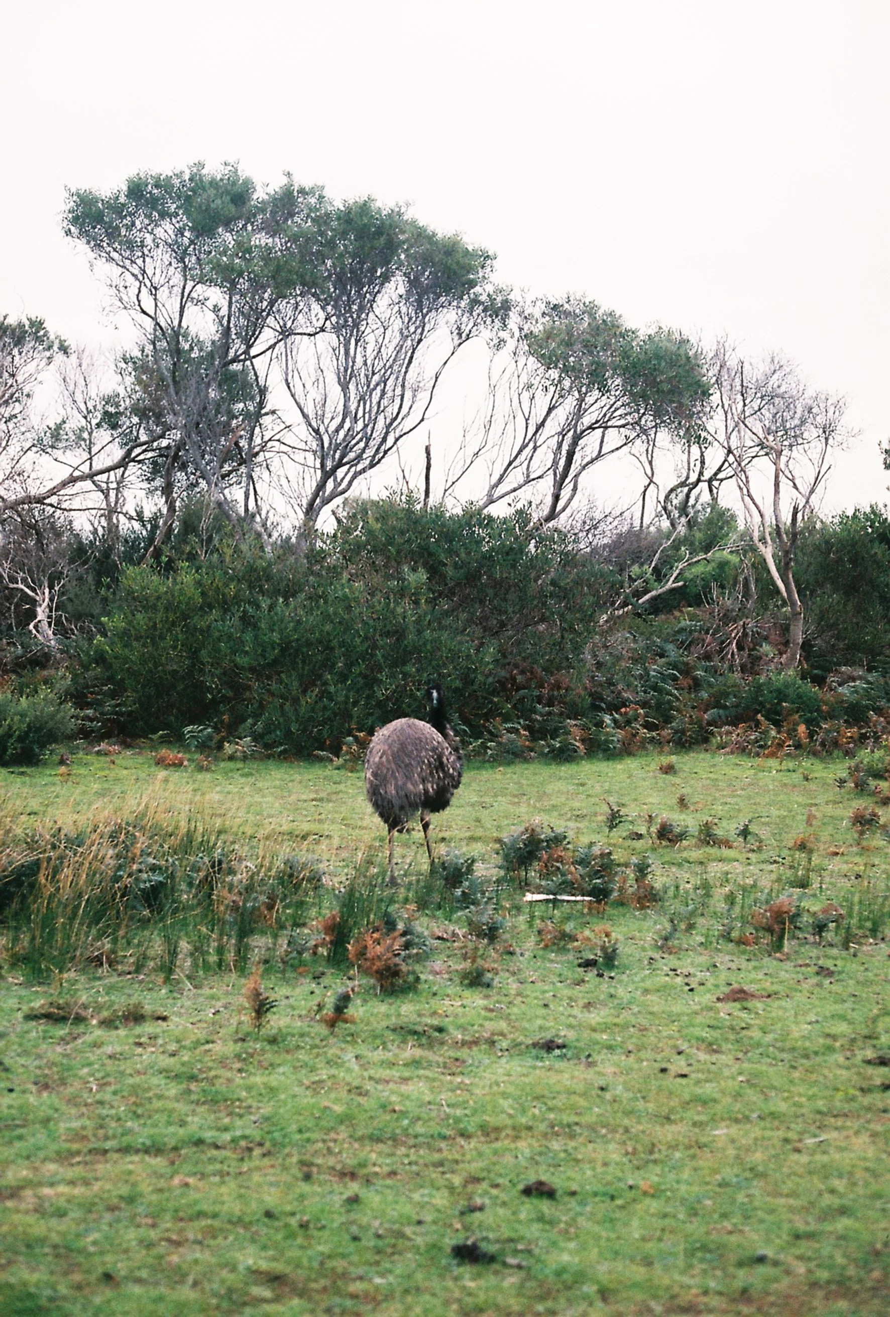 PATAGONIA_11.jpg