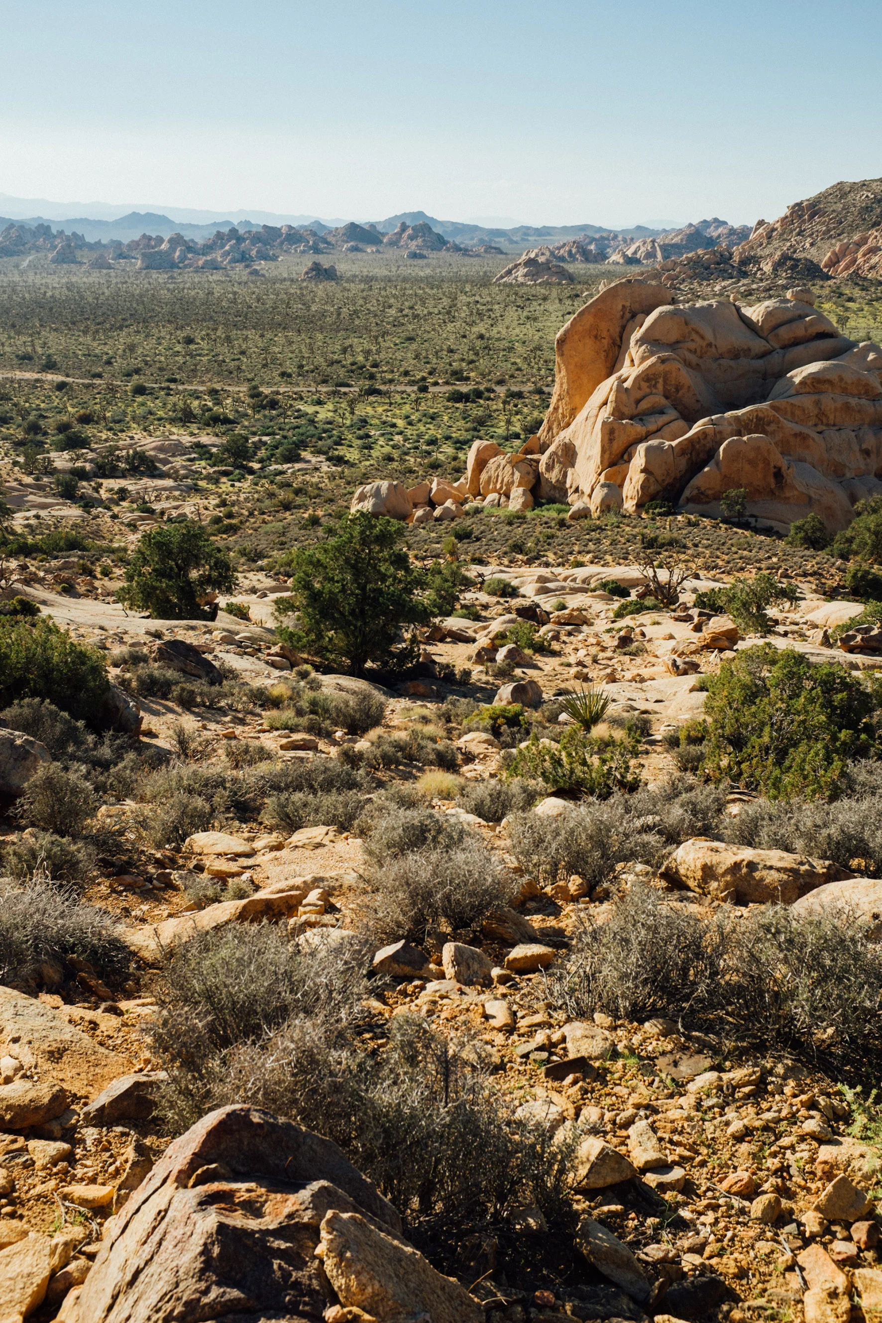 ryan-mountain-jinn-5.jpg