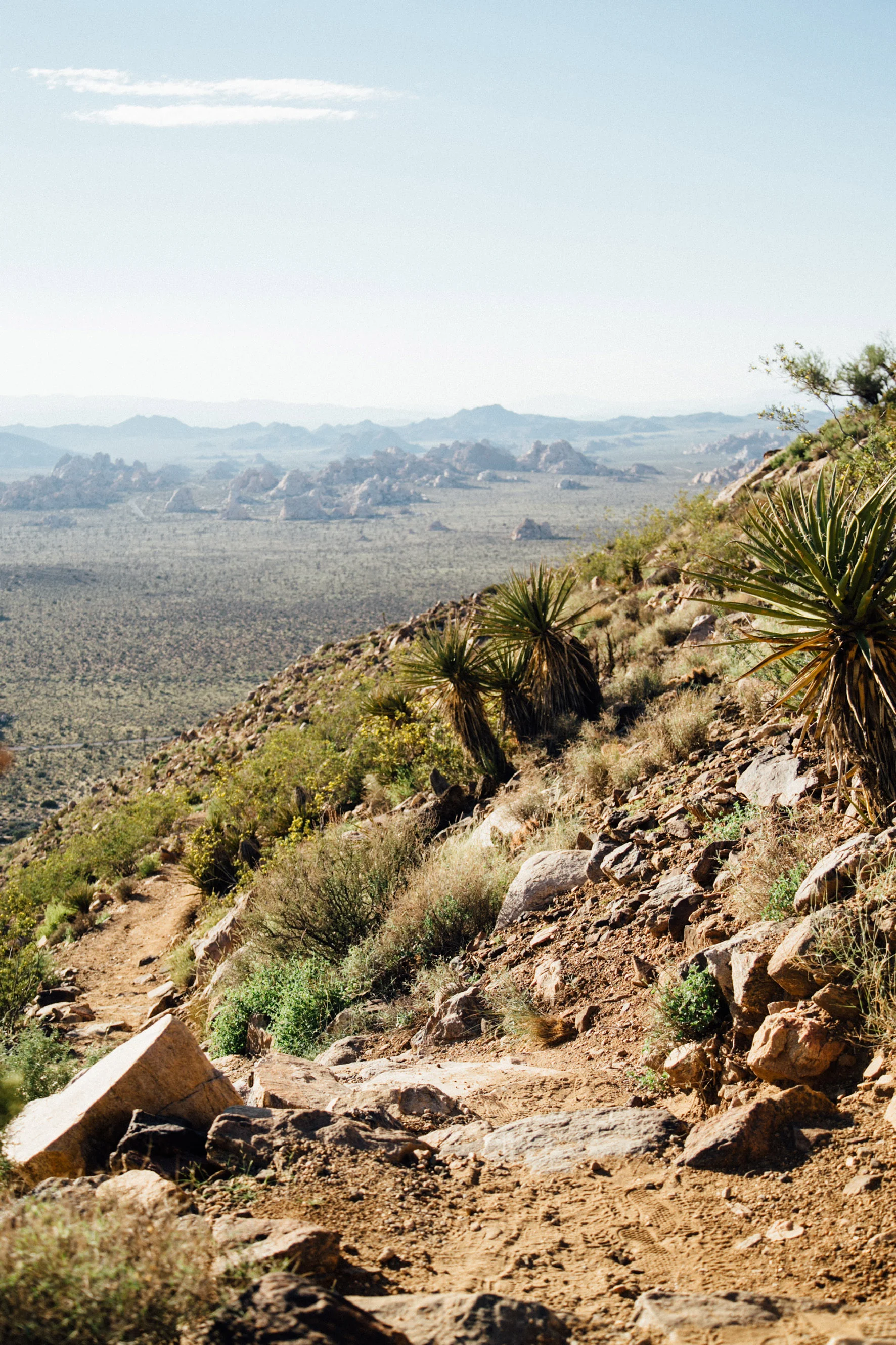 ryan-mountain-jinn-13.jpg