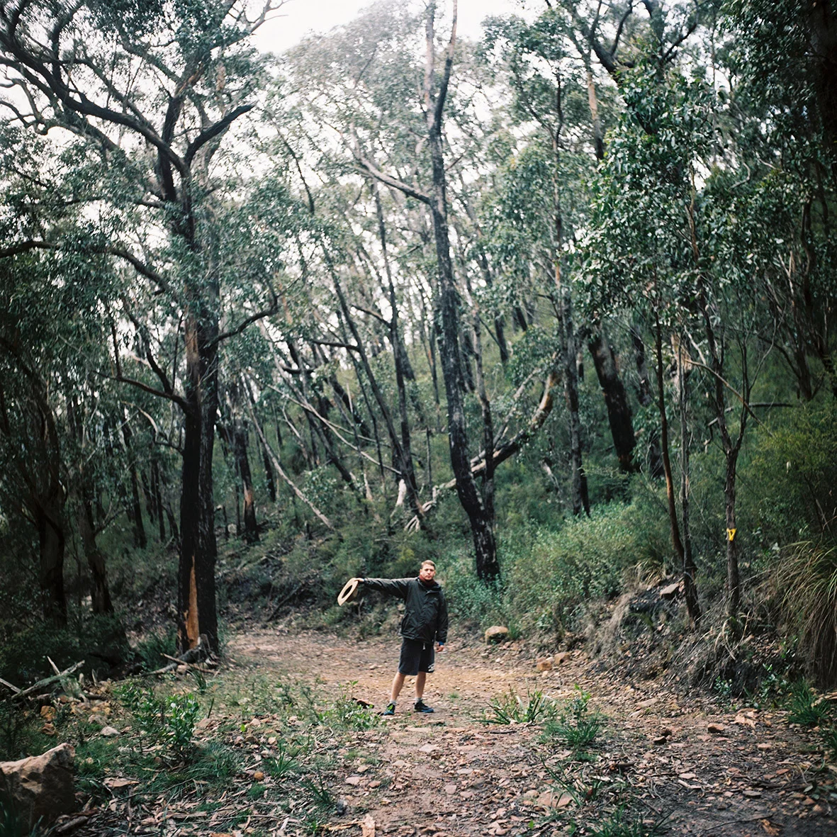 grampians-major-mitchell-plateau-4.jpg