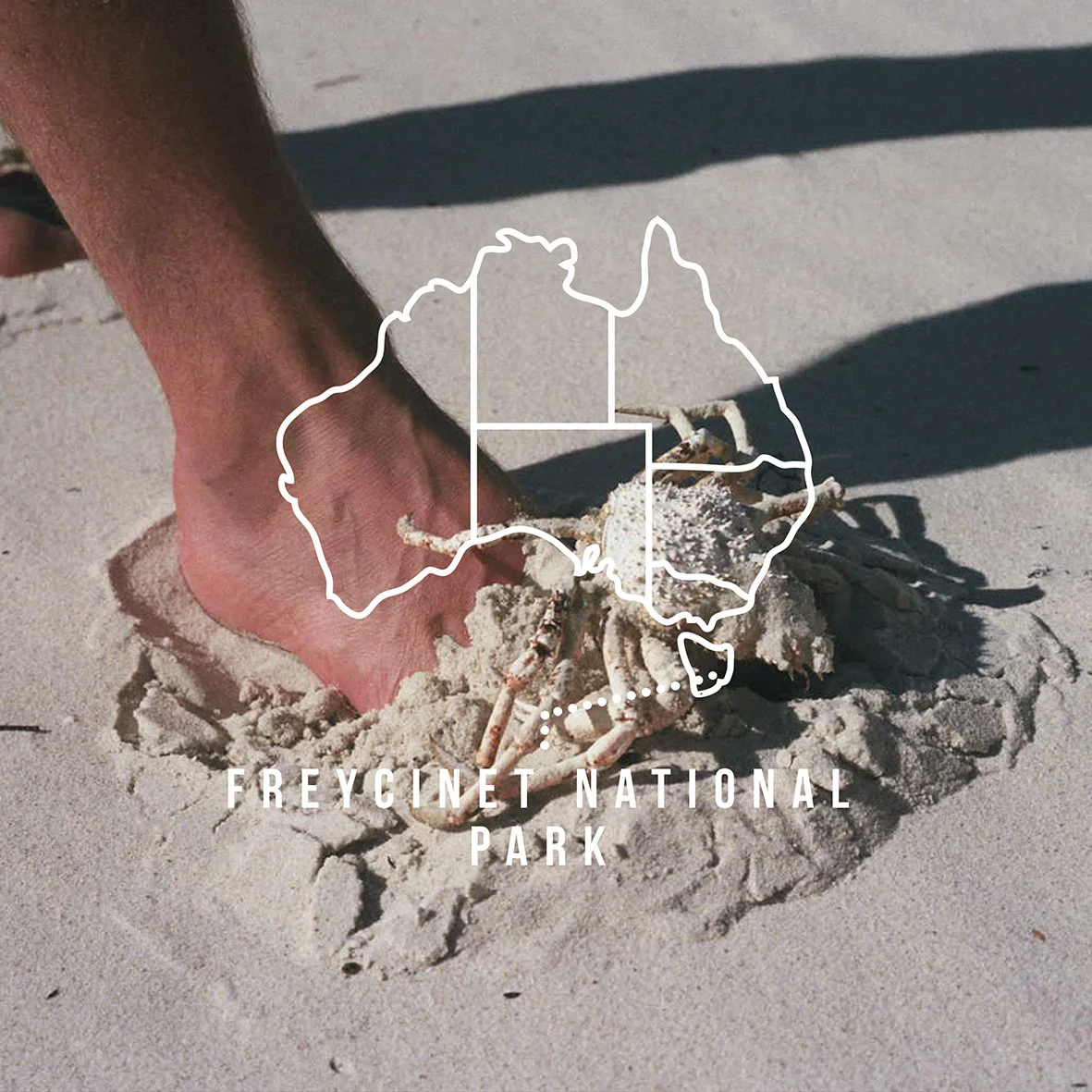 FREYCINET INSTA PROMO.jpg