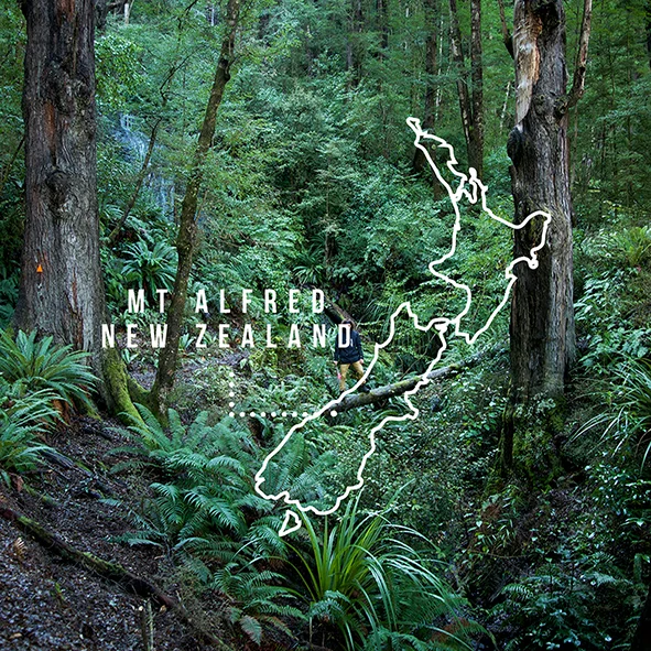 MT ALFRED INSTA PROMO.jpg