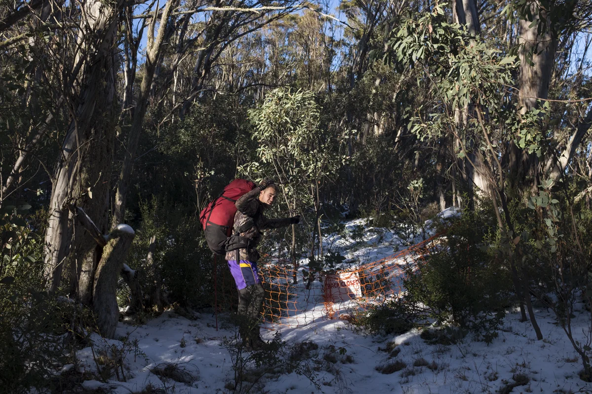Mt Stirling_02.jpg