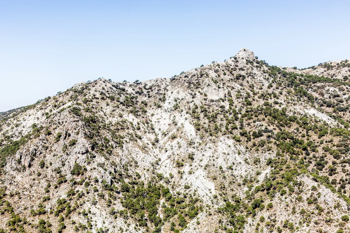 iberian-40.jpg