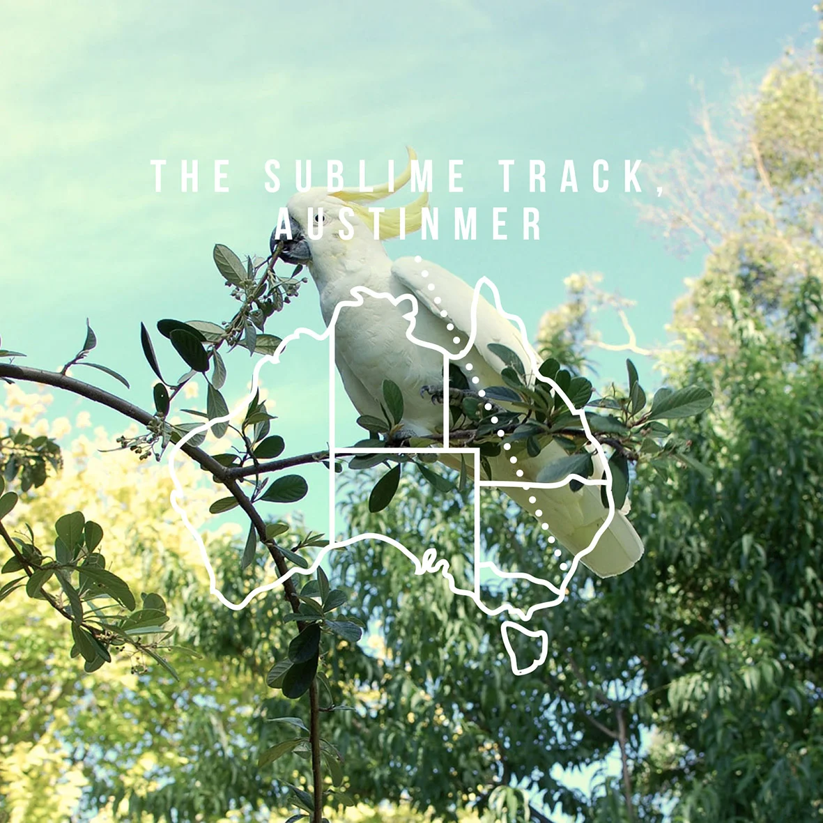 SUBLIME POINT_INSTA promo.jpg