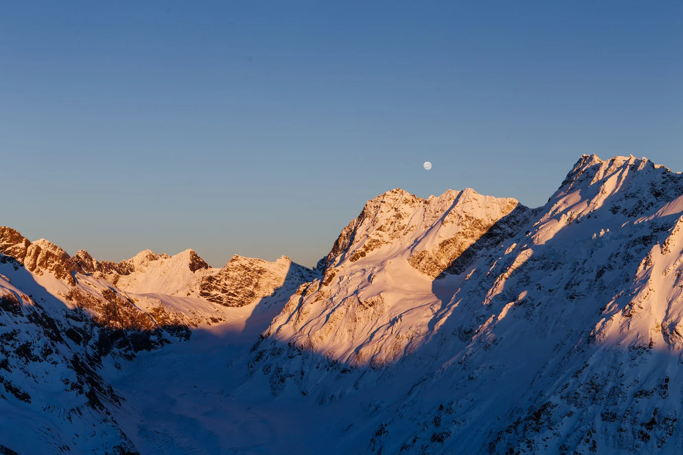 2018_danmarch_ollivier-11.jpg