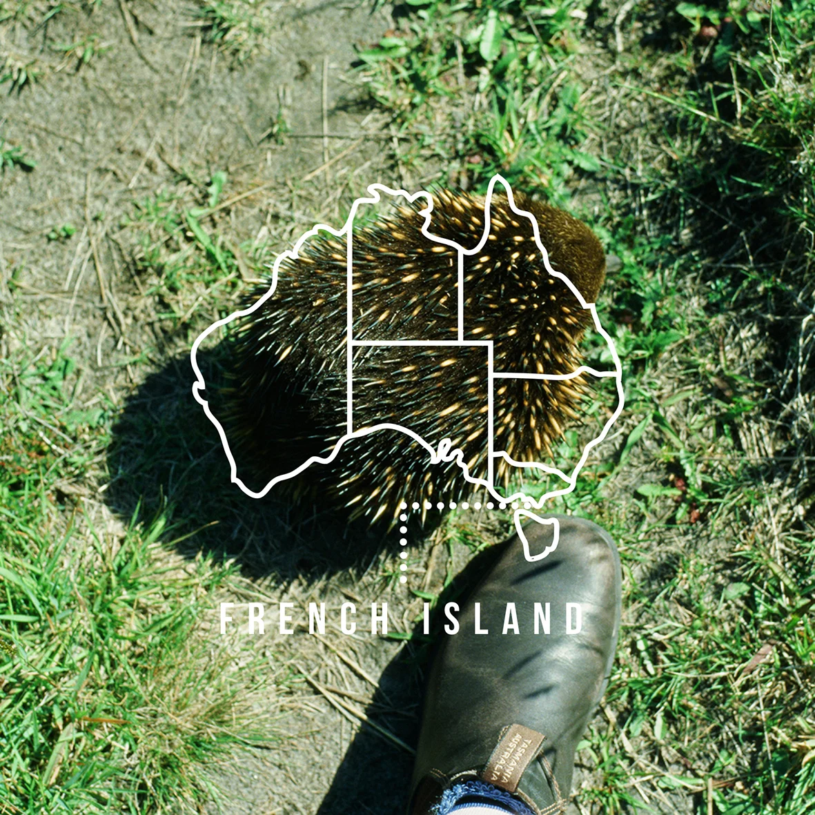 FRENCH ISLAND INST PROMO.jpg
