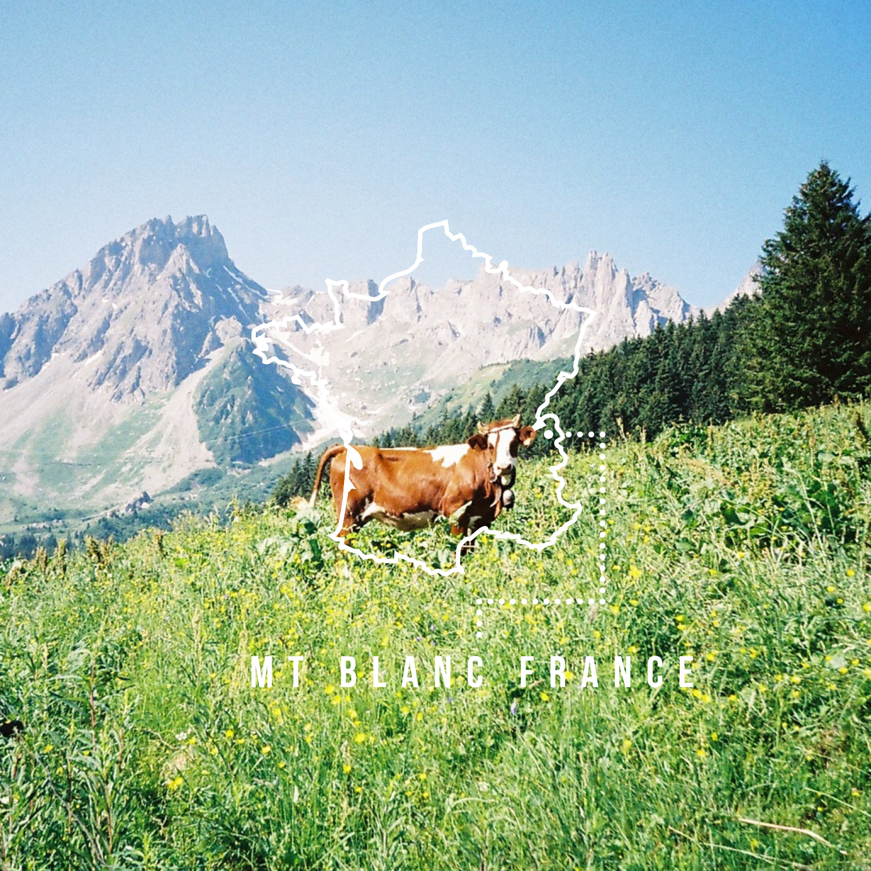 MONT BLANC_INSTA PROMO.jpg