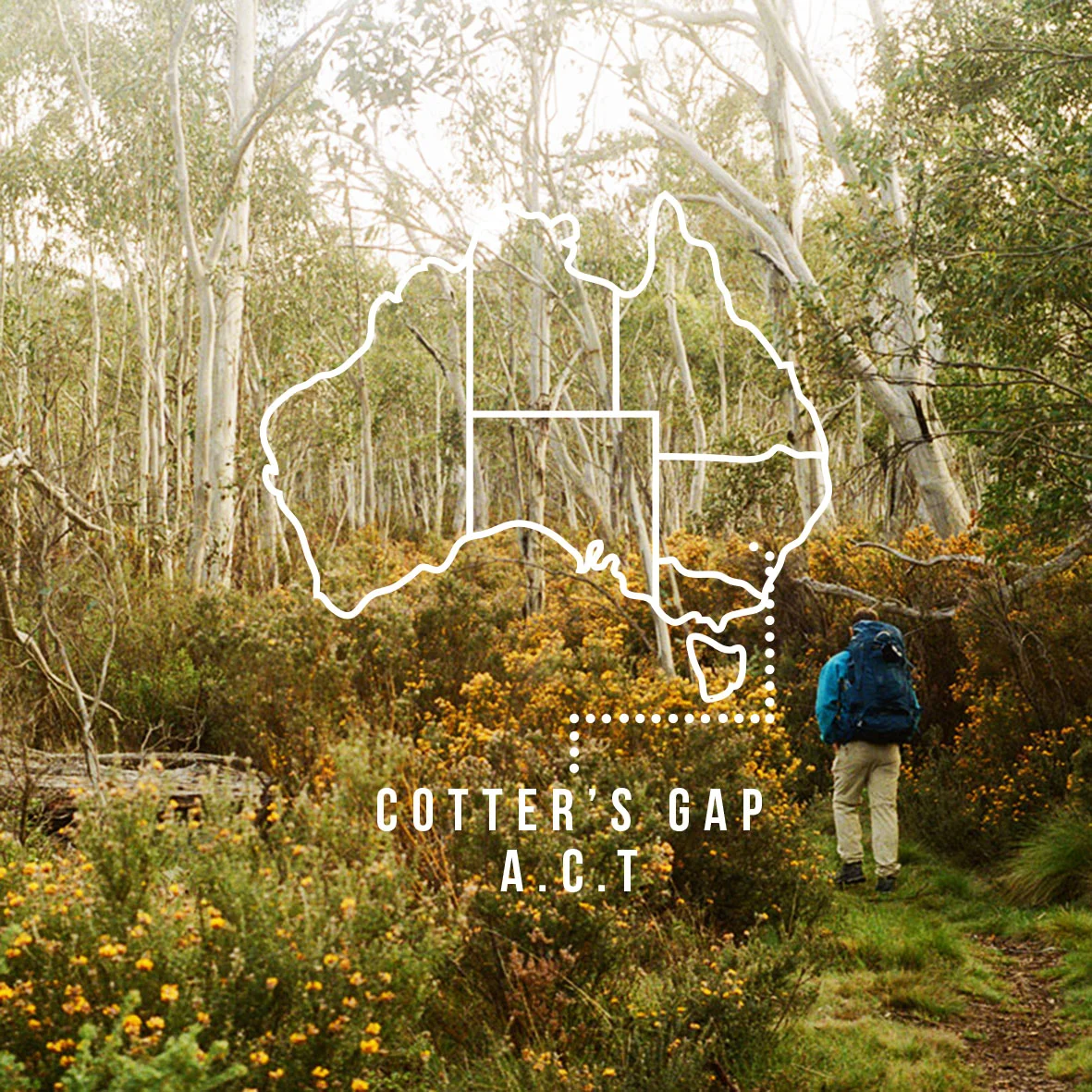 COTTERS GAP_INSTA PROMO.jpg