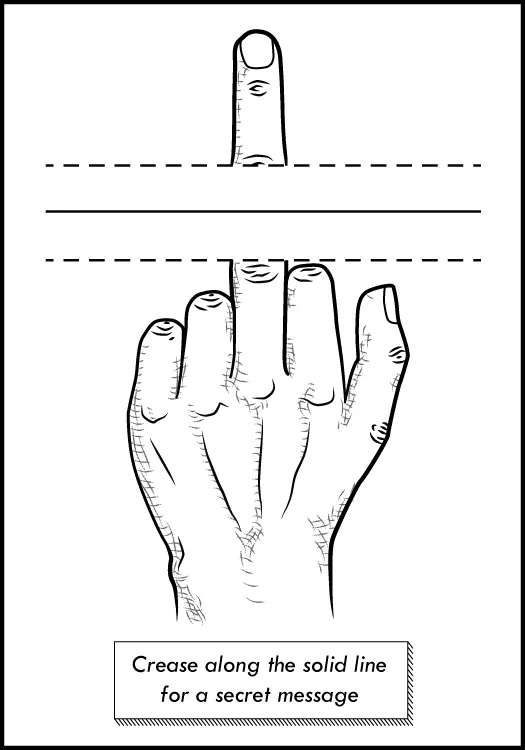 Fold for Surprise.jpg