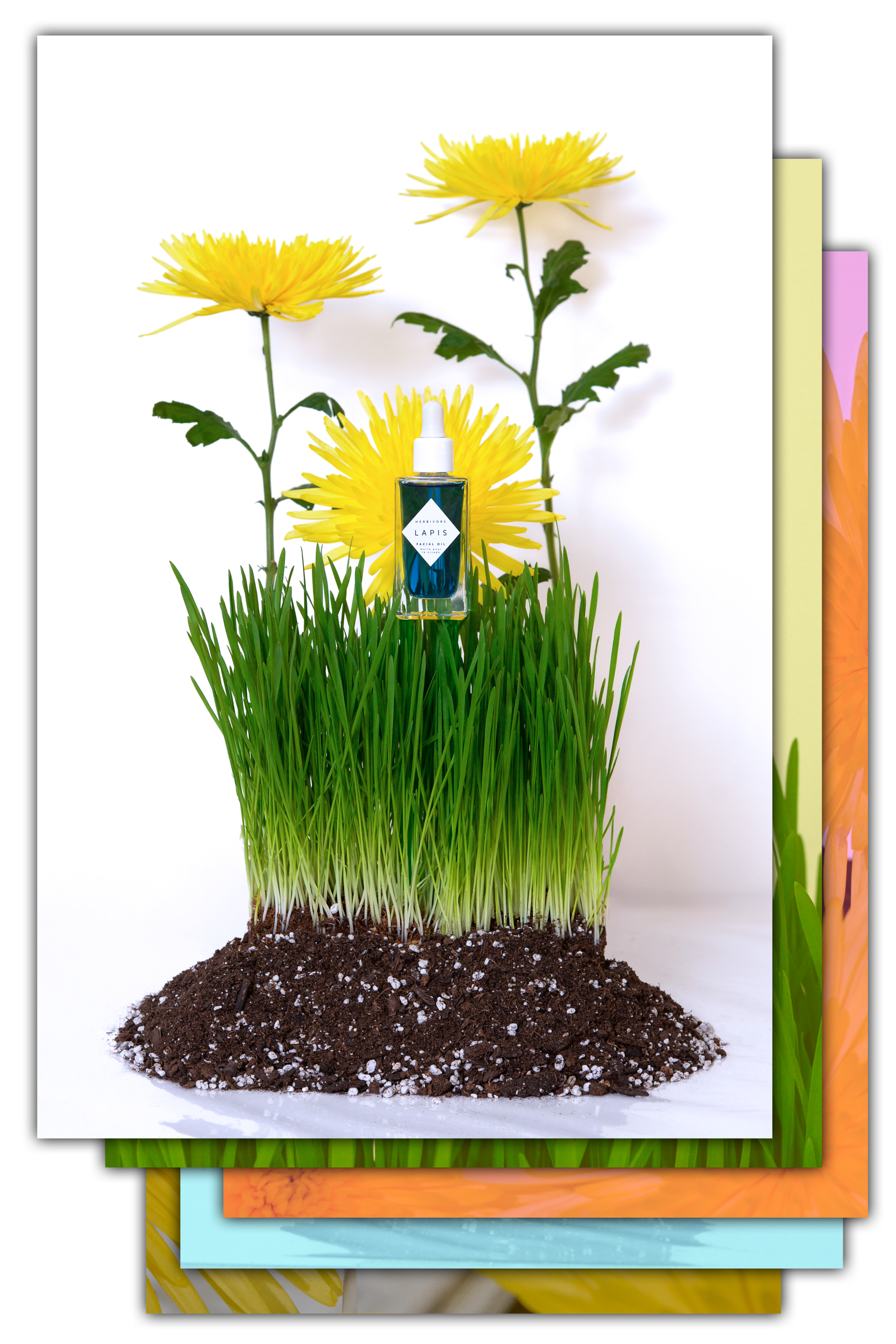 Web Icon - Herbivore_CMYK.png