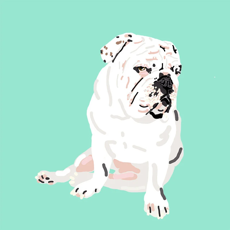 Artboard 9.jpg