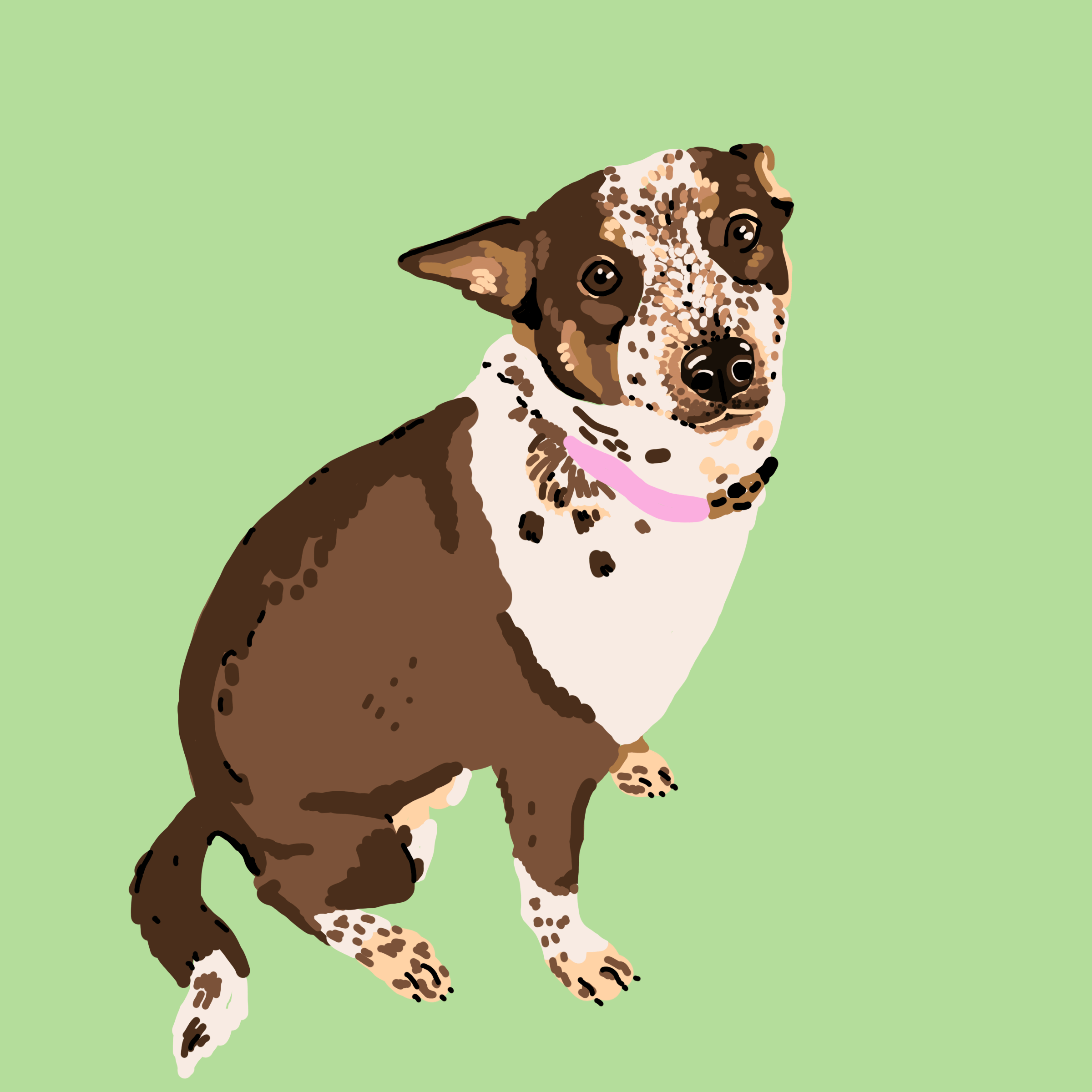 OHD-Mollie.gif