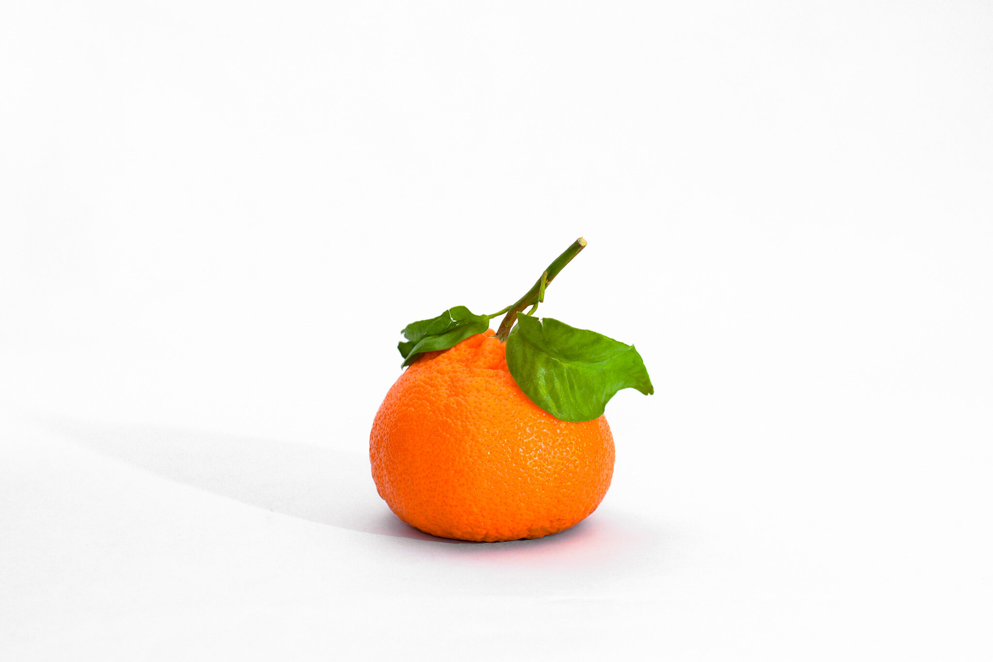Citrus - Lg mandarin.jpg