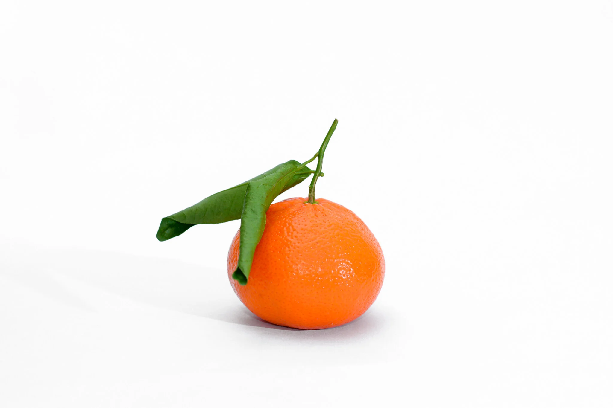 Citrus - Mandarin.jpg