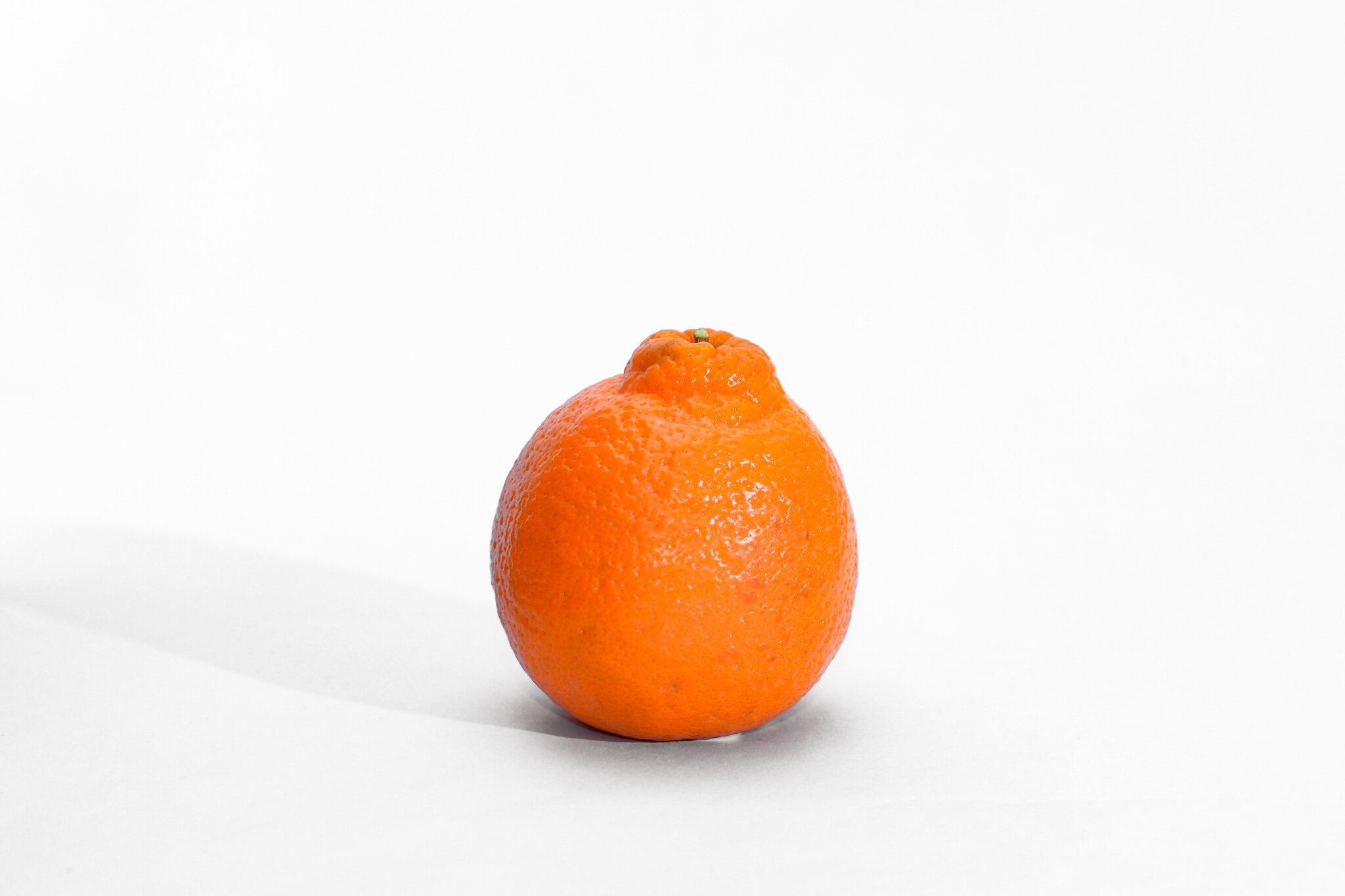 Citrus - Tangelo.jpg