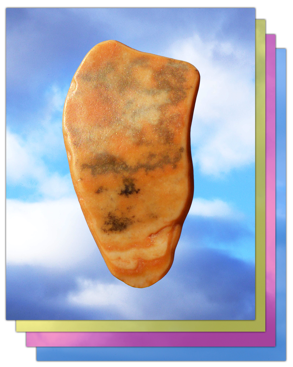 Shells_Websiteicon.png