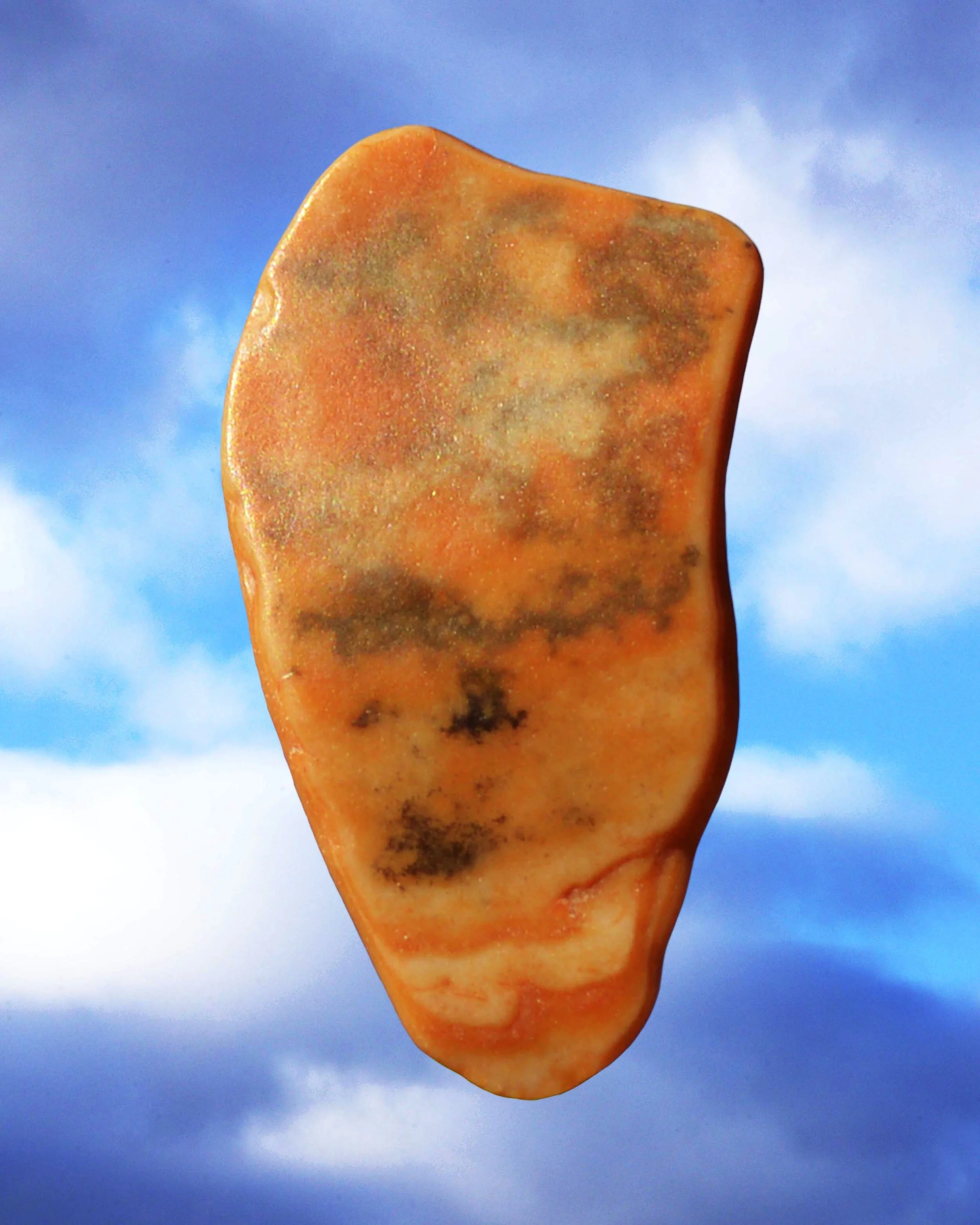 Shells1.JPG