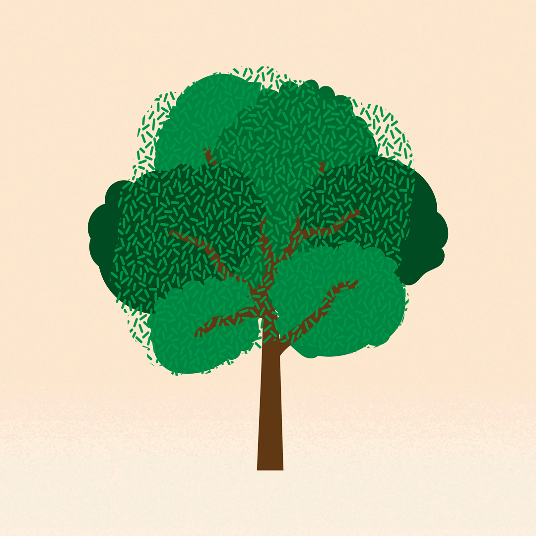 Tree-Seasons_transitionFULL.gif