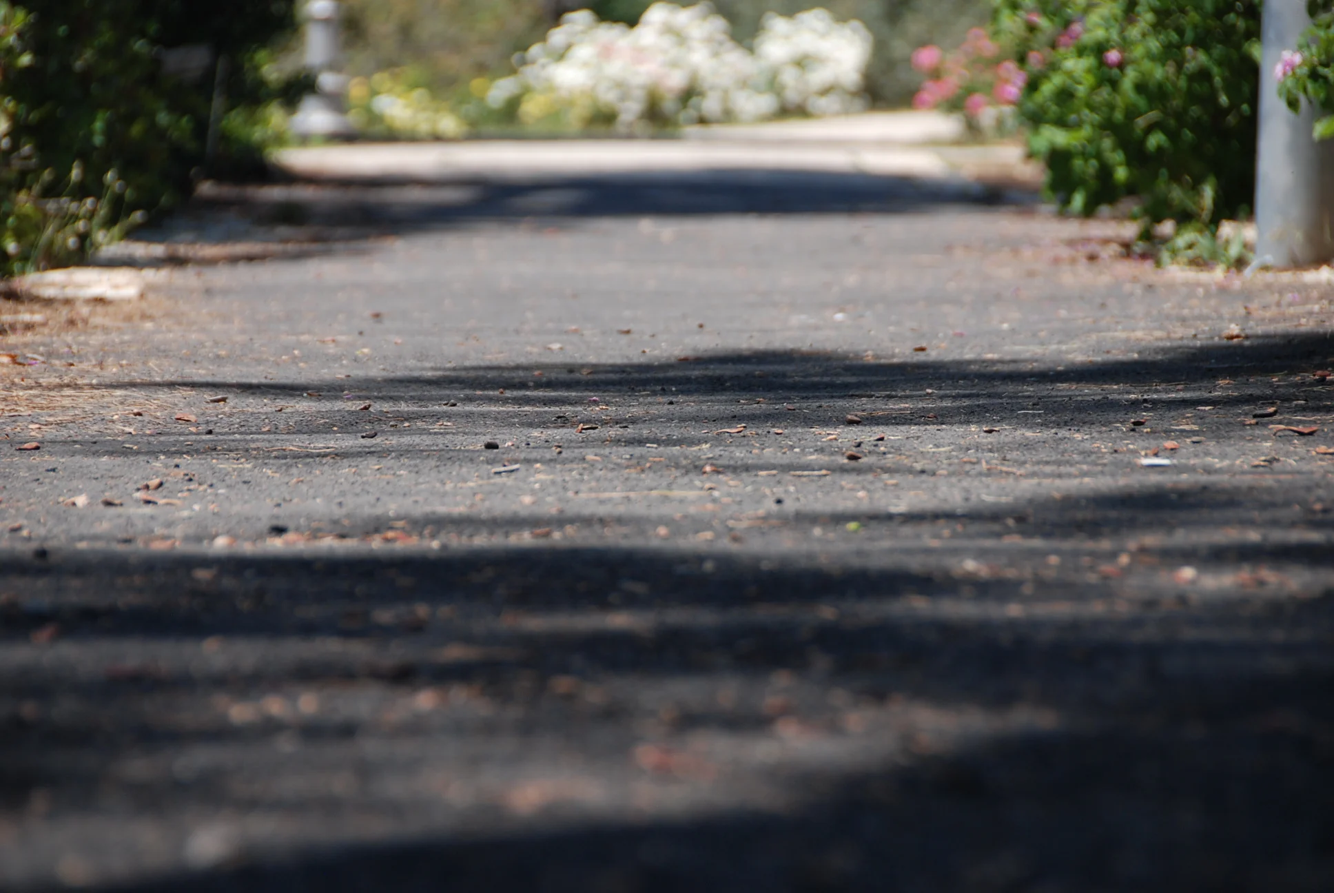 An Invitation To Intimacy