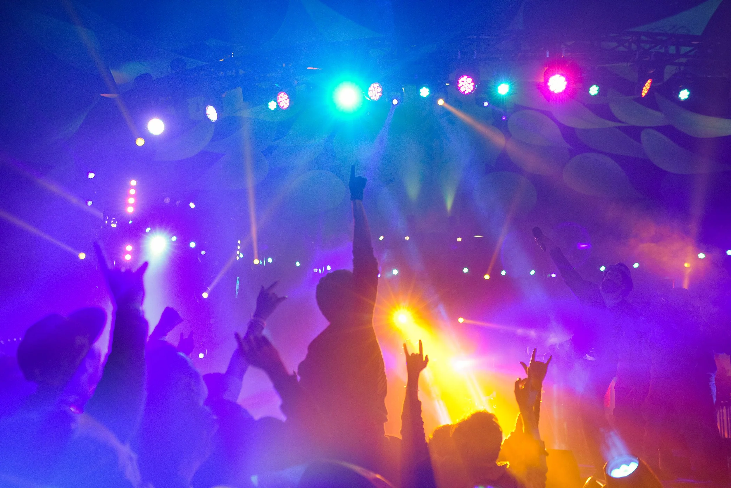 PKJ_0087 Photo - Prashin Jagger.jpg