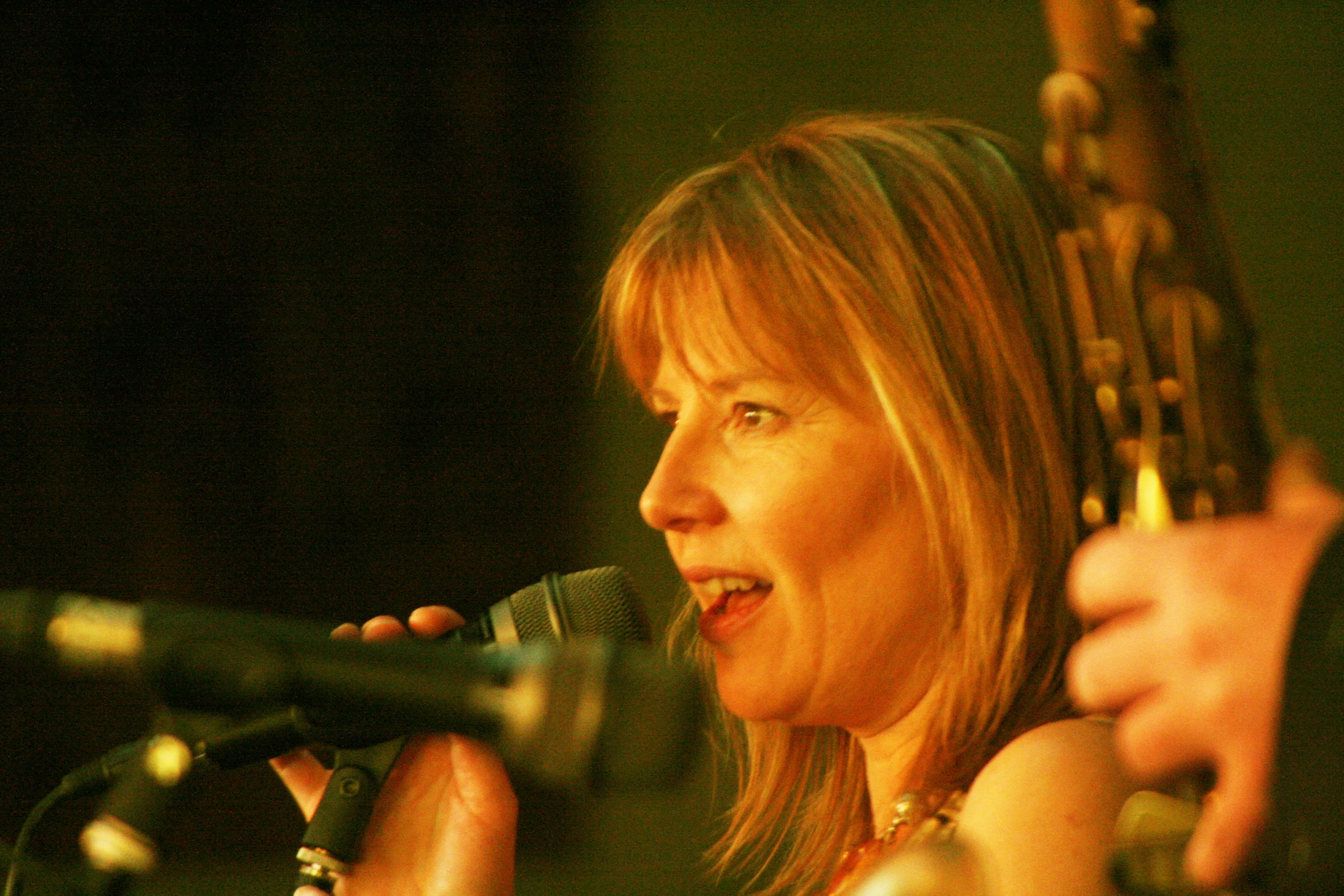 Carolina Moon Jazz Group - Party